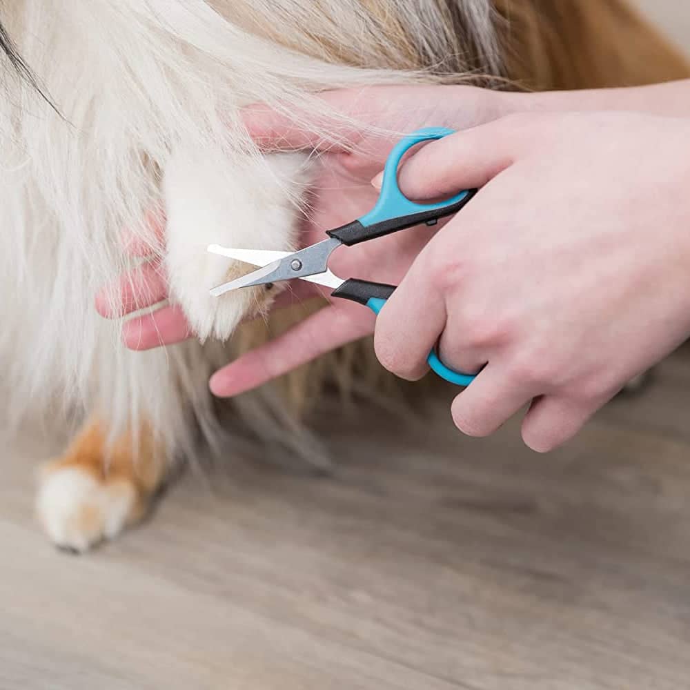 Trixie Face & Paw Scissors for Dogs and Cats — in use