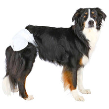 Trixie Diapers For Female Dogs 12 Pcs - Image 3