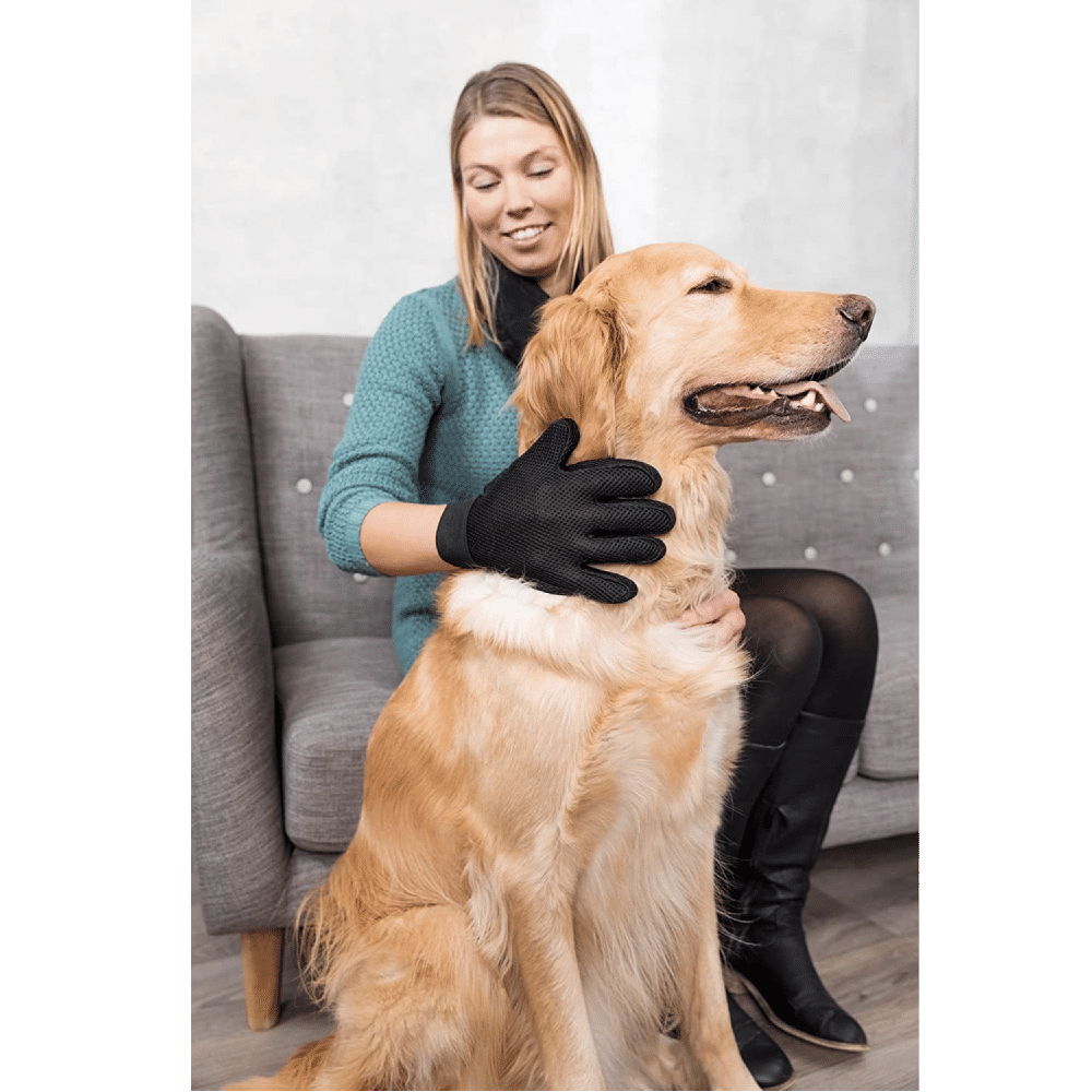 Trixie Fur Care Massage and Shine Gloves for Dogs and Cats — in use