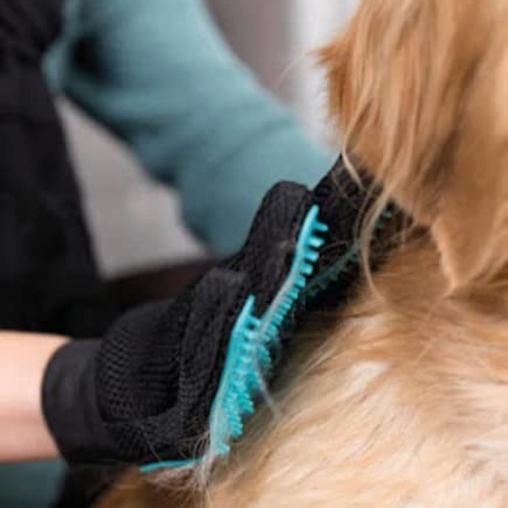 Trixie Fur Care Massage Glove for Dogs and Cats — back view