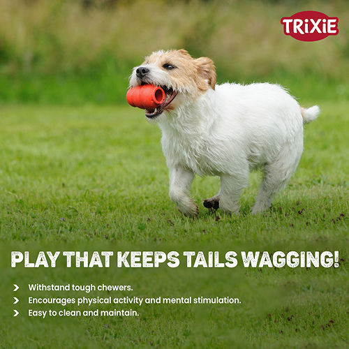 Trixie Jumper Chew Toy for Dogs — detail shot