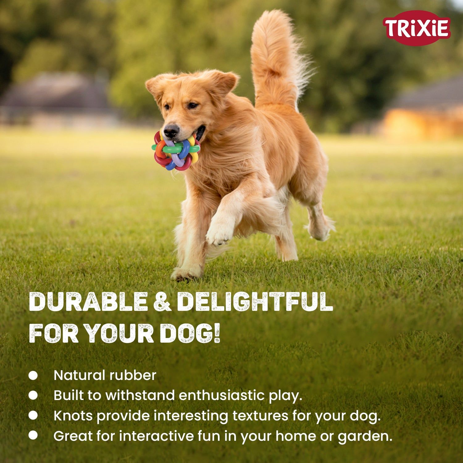 Trixie Natural Rubber Knotted Ball Chew Toy for Dogs — back view