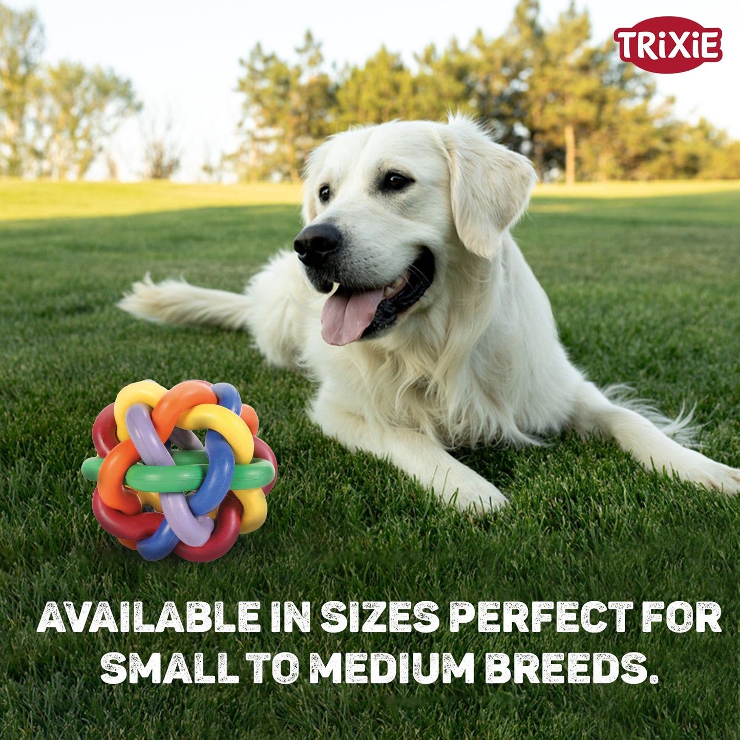 Trixie Natural Rubber Knotted Ball Chew Toy for Dogs — detail shot