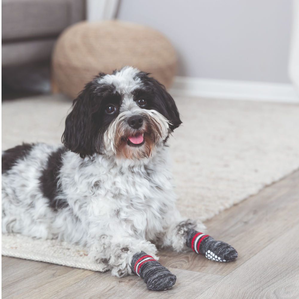 Trixie Non Slip Socks for Dogs — side view