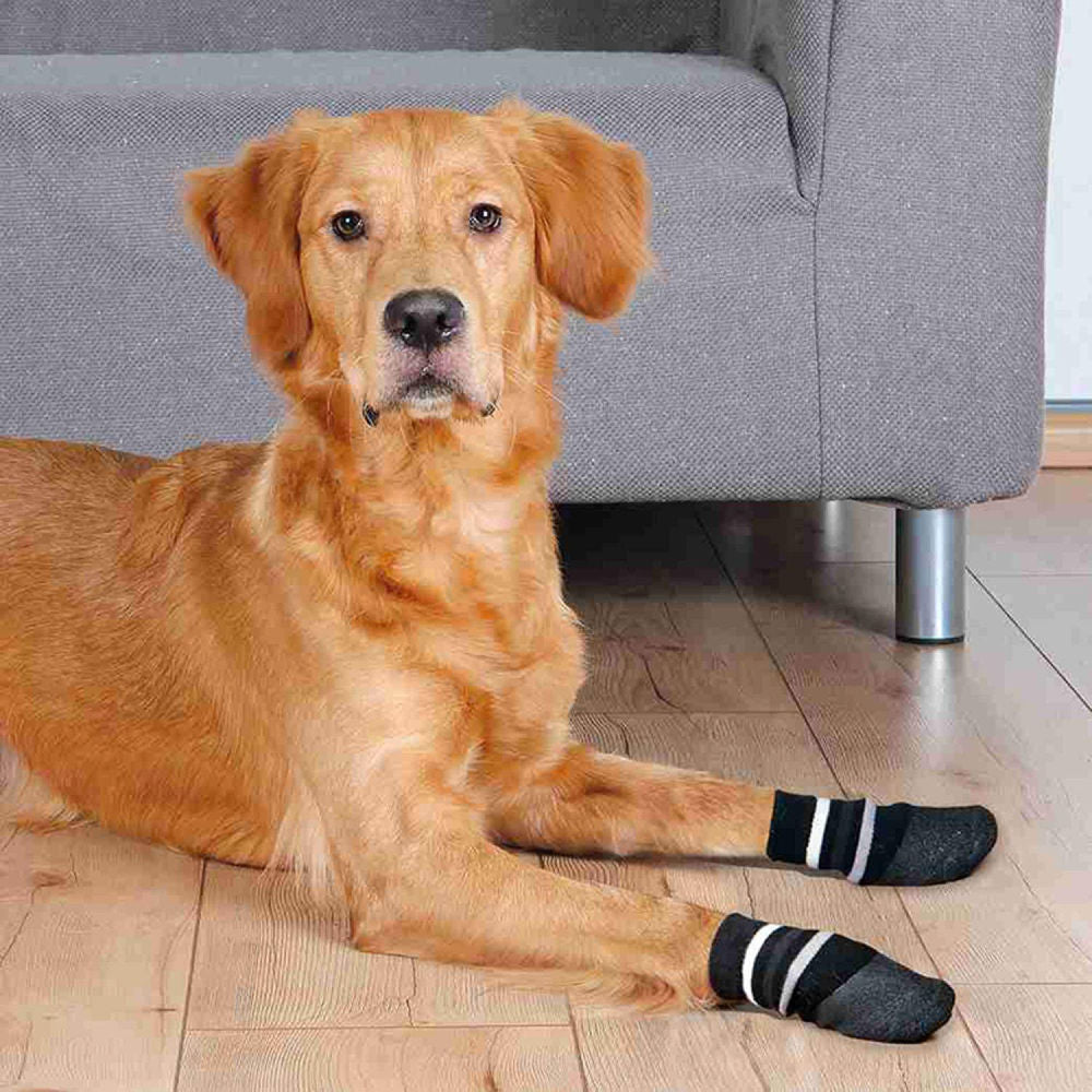 Trixie Non Slip with All Round Rubber Coated Socks for Dogs — detail shot
