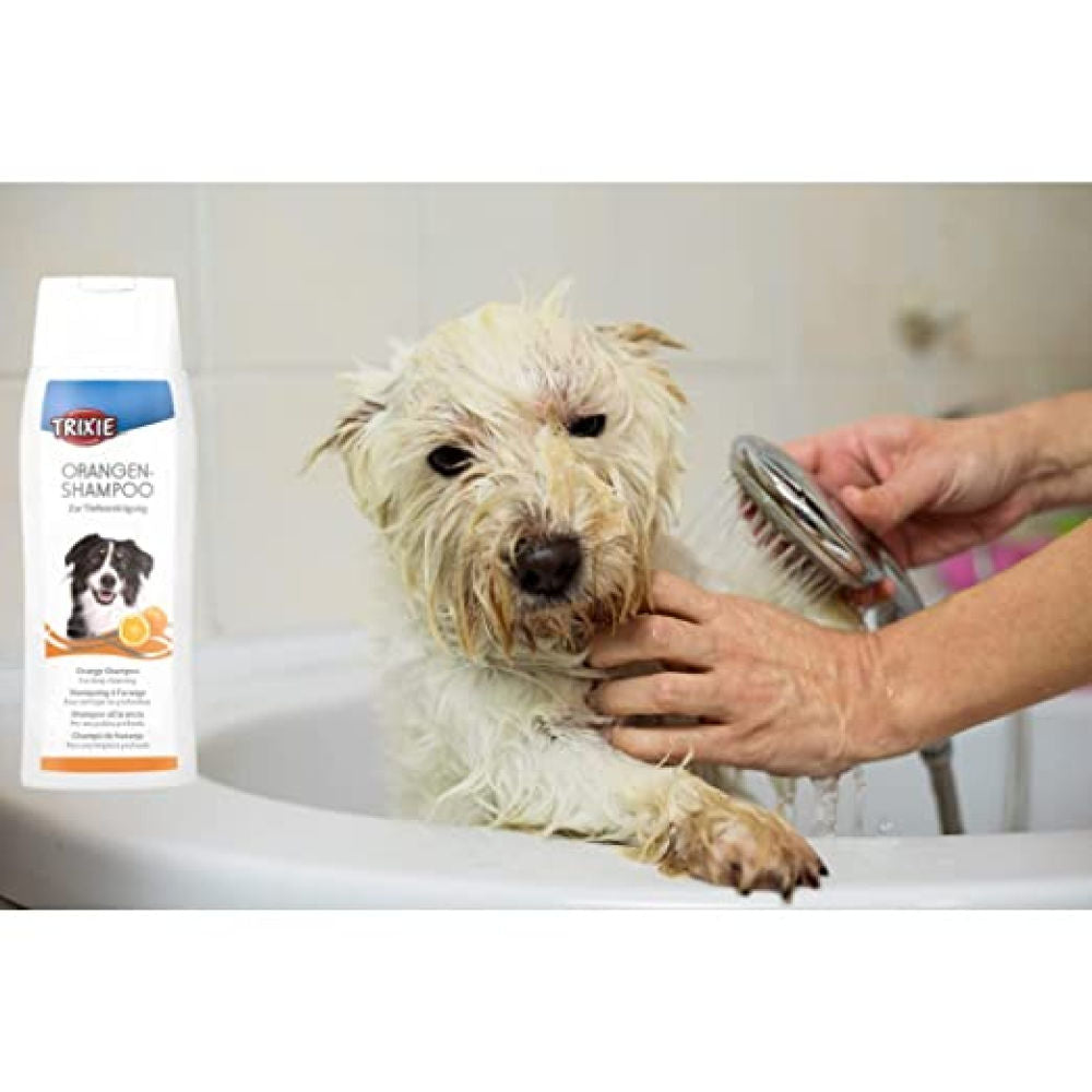 Trixie Orange Shampoo for Dogs — in use