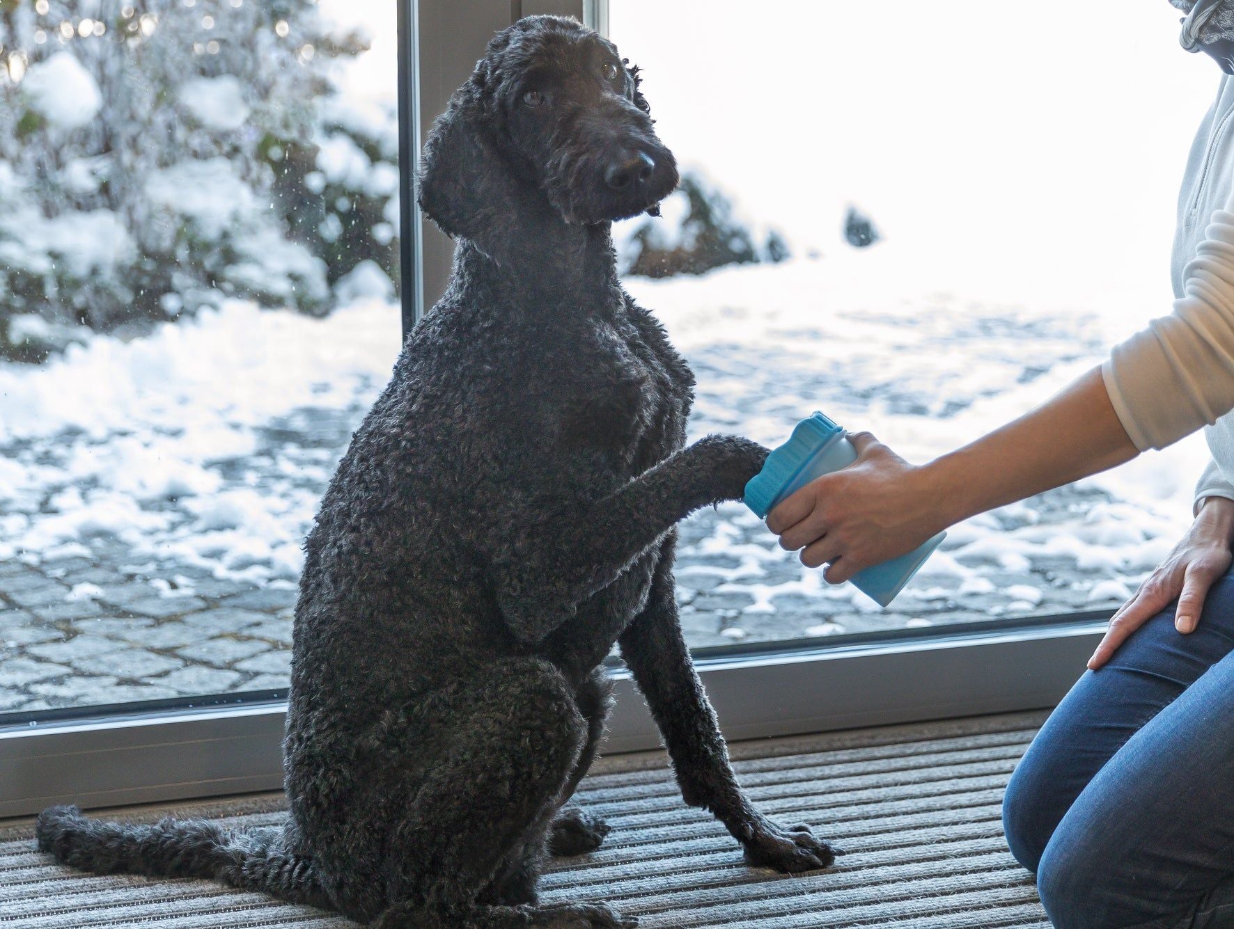 Trixie Paw Cleaner for Dogs and Cats — in use