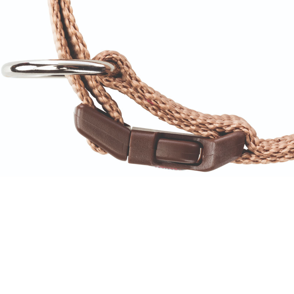 Trixie Premium Collar for Dogs — back view
