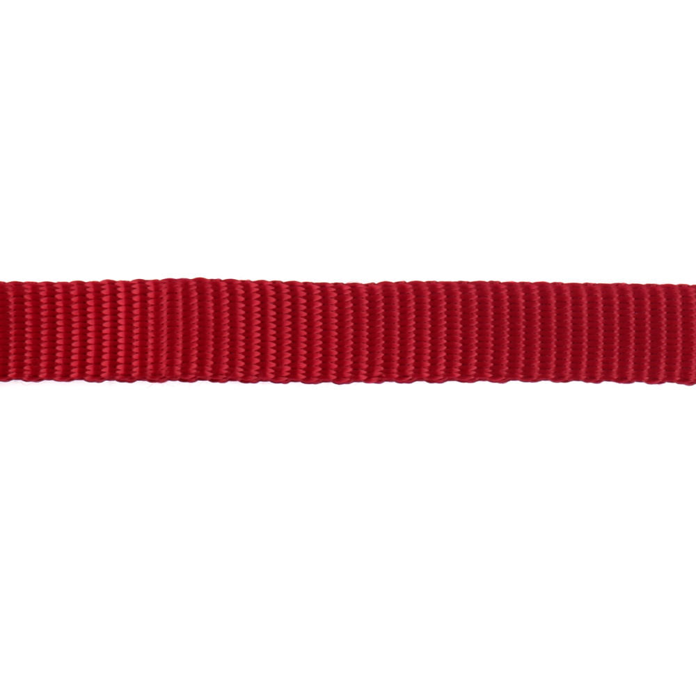 Trixie Premium Collar for Dogs — back view