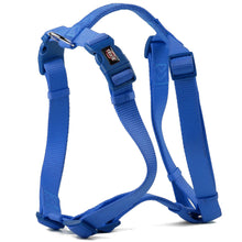 Trixie Premium H Harness For Dogs Royal Blue