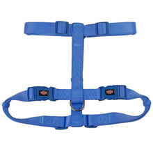 Trixie Premium H Harness For Dogs Royal Blue - Image 3