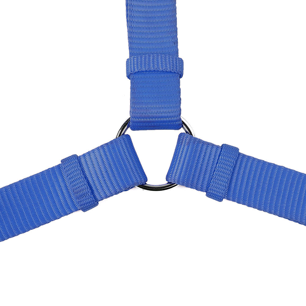 Trixie Premium H Harness for Dogs — detail shot