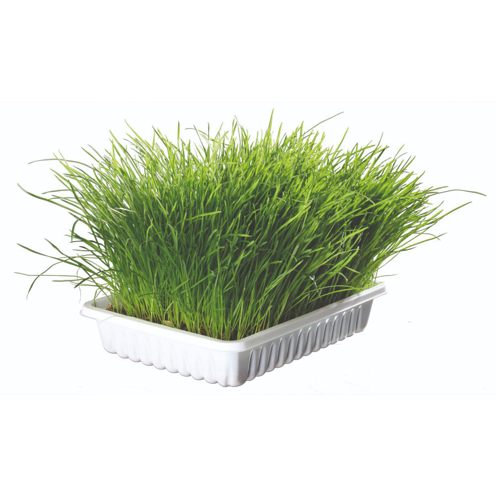 Trixie Soft Grass Bowl for Cats — side view