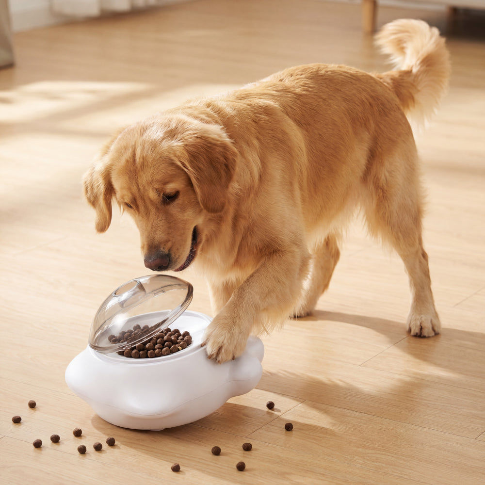 Trixie Treat dispenser and Popper for Dogs — in use