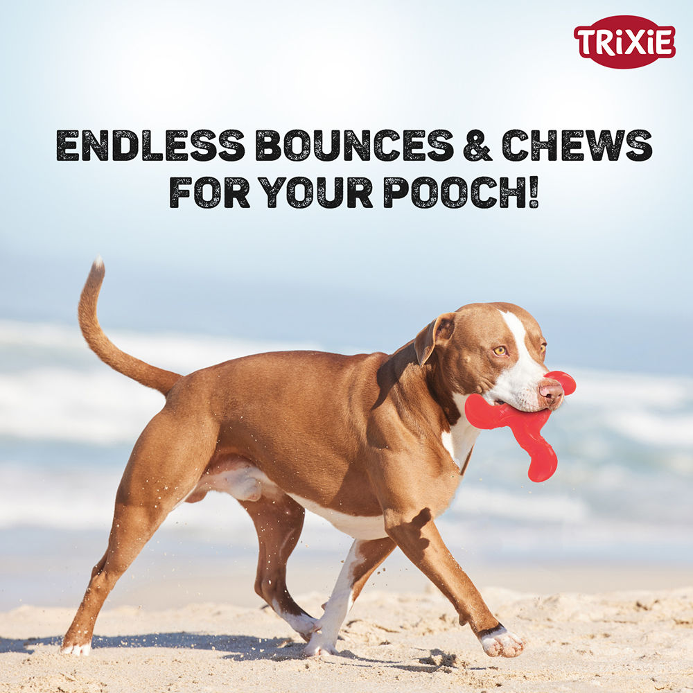 Trixie Triplex Bungee Boomerang Chew Toy for Dogs — back view