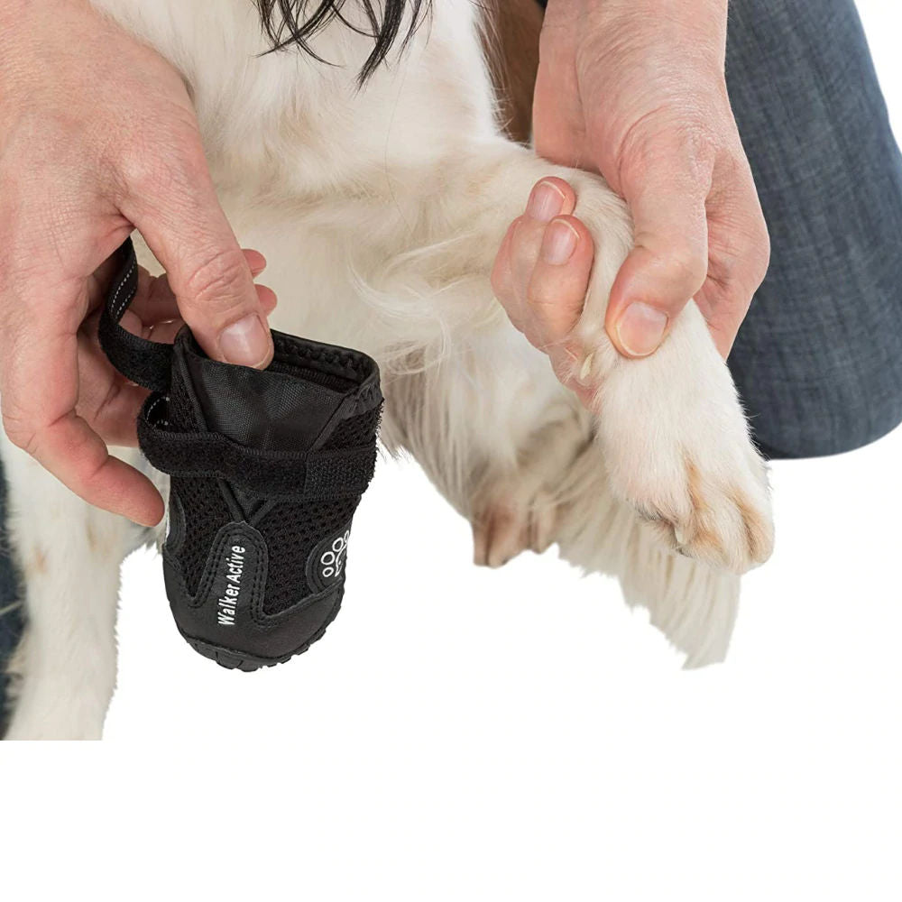 Trixie Walker Active Protective Boots for Dogs — back view