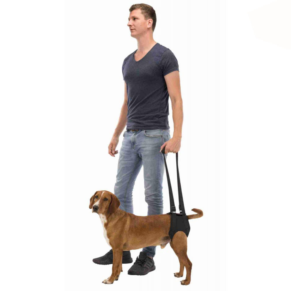 Trixie Walking Aid for Dogs — detail shot