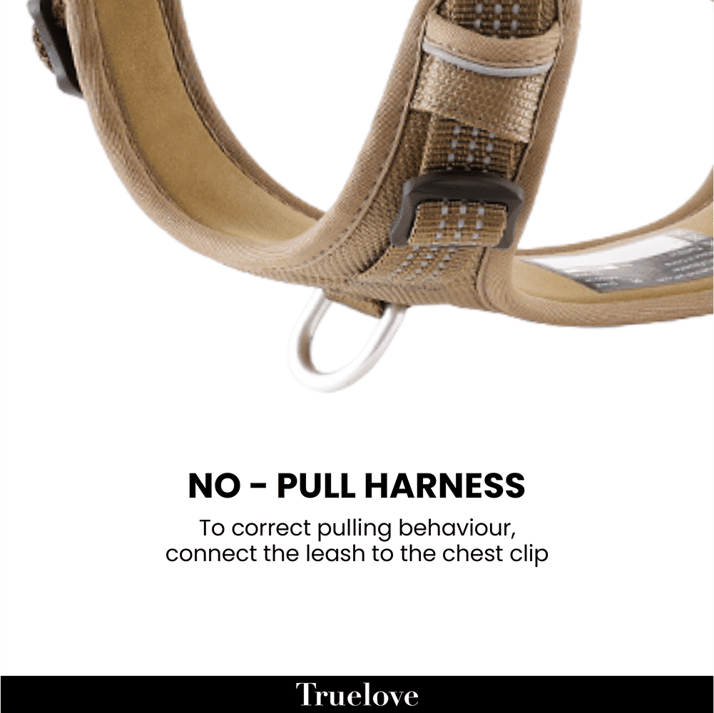 Truelove Escape proof harness for Dogs — in use