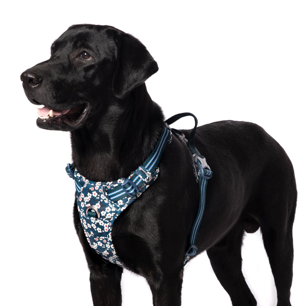 Truelove Floral No Pull 3M Reflective Harness for Dogs — back view