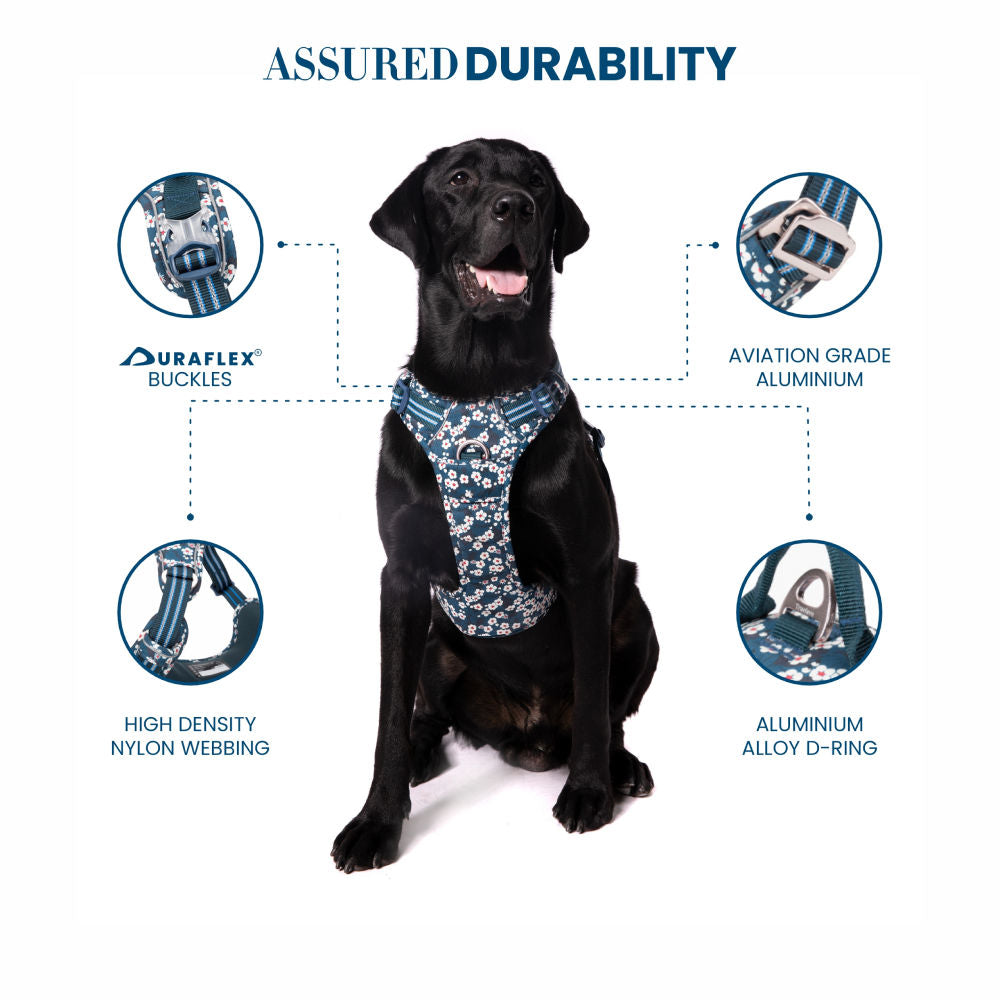 Truelove Floral No Pull 3M Reflective Harness for Dogs — detail shot