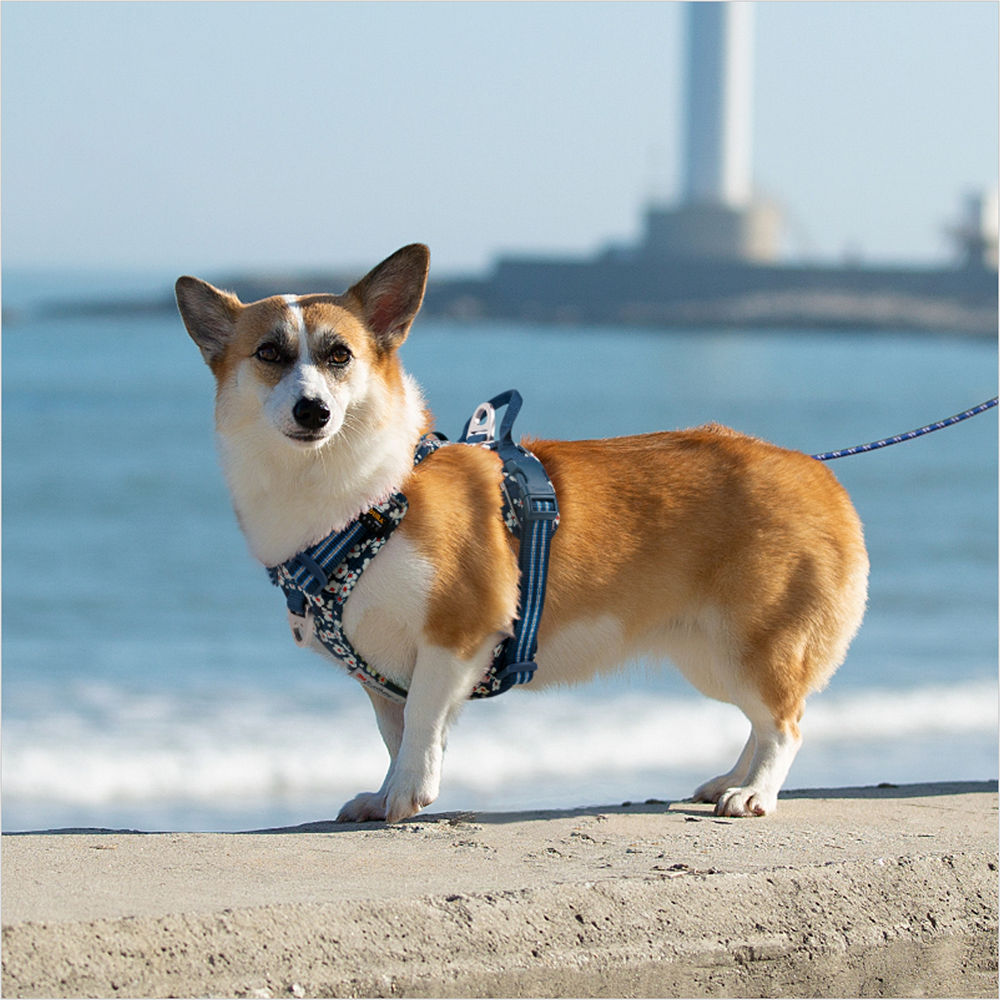 Truelove Floral No Pull Cordura Fabric Harness for Dogs — side view