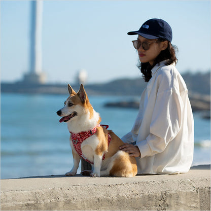 Truelove Floral No Pull Pet Harness for Dogs — in use