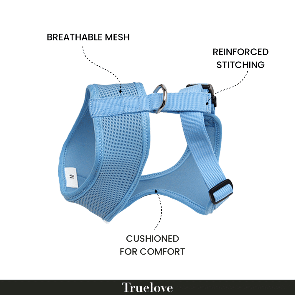 Truelove Harness for Cats and Small Dogs — back view