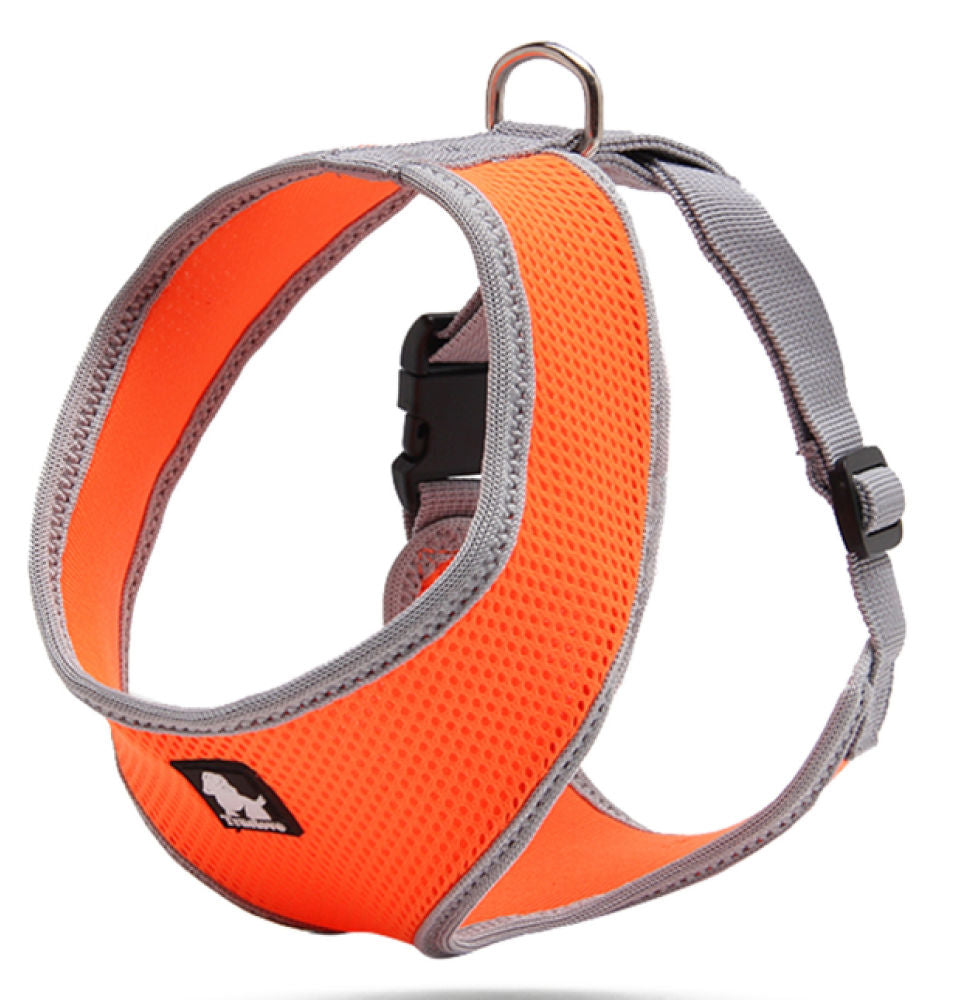 Truelove Classic Harness For Cats And Small Dogs Orange
