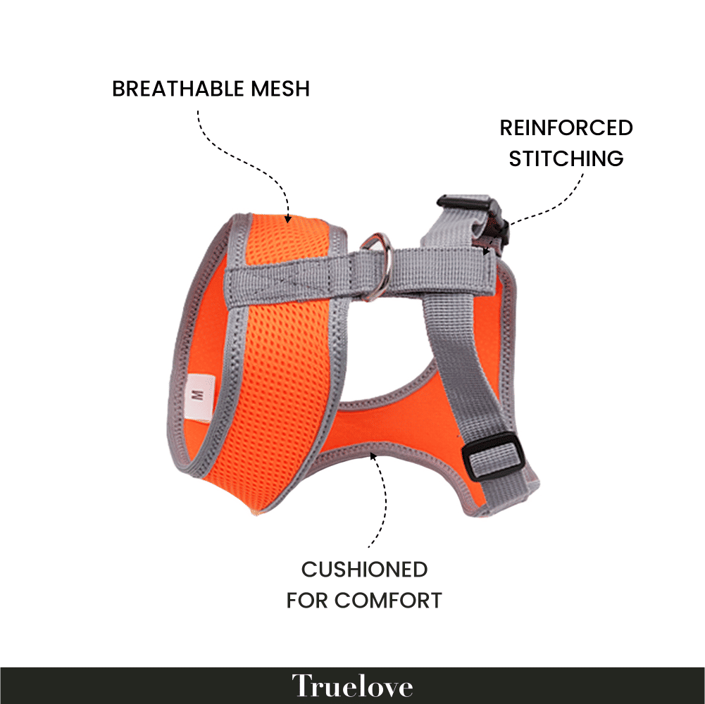 Truelove Harness for Cats and Small Dogs — back view
