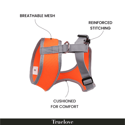 Truelove Harness for Cats and Small Dogs — back view