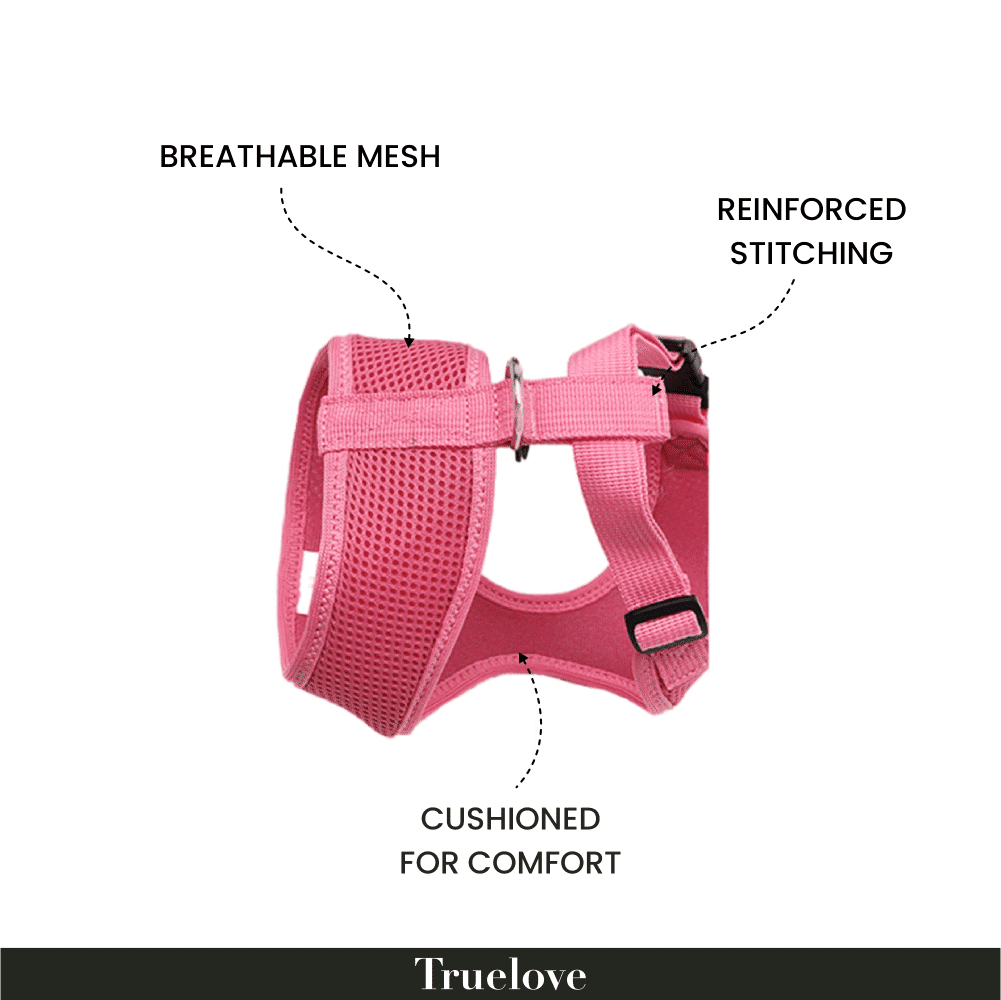 Truelove Harness for Cats and Small Dogs — back view