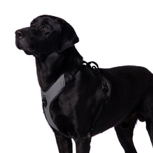 Truelove Harness With Reflective Fabric For Dogs Black - Image 3