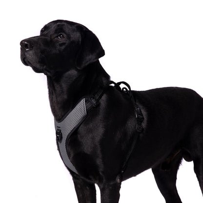 Truelove Harness with Reflective Fabric for Dogs — side view