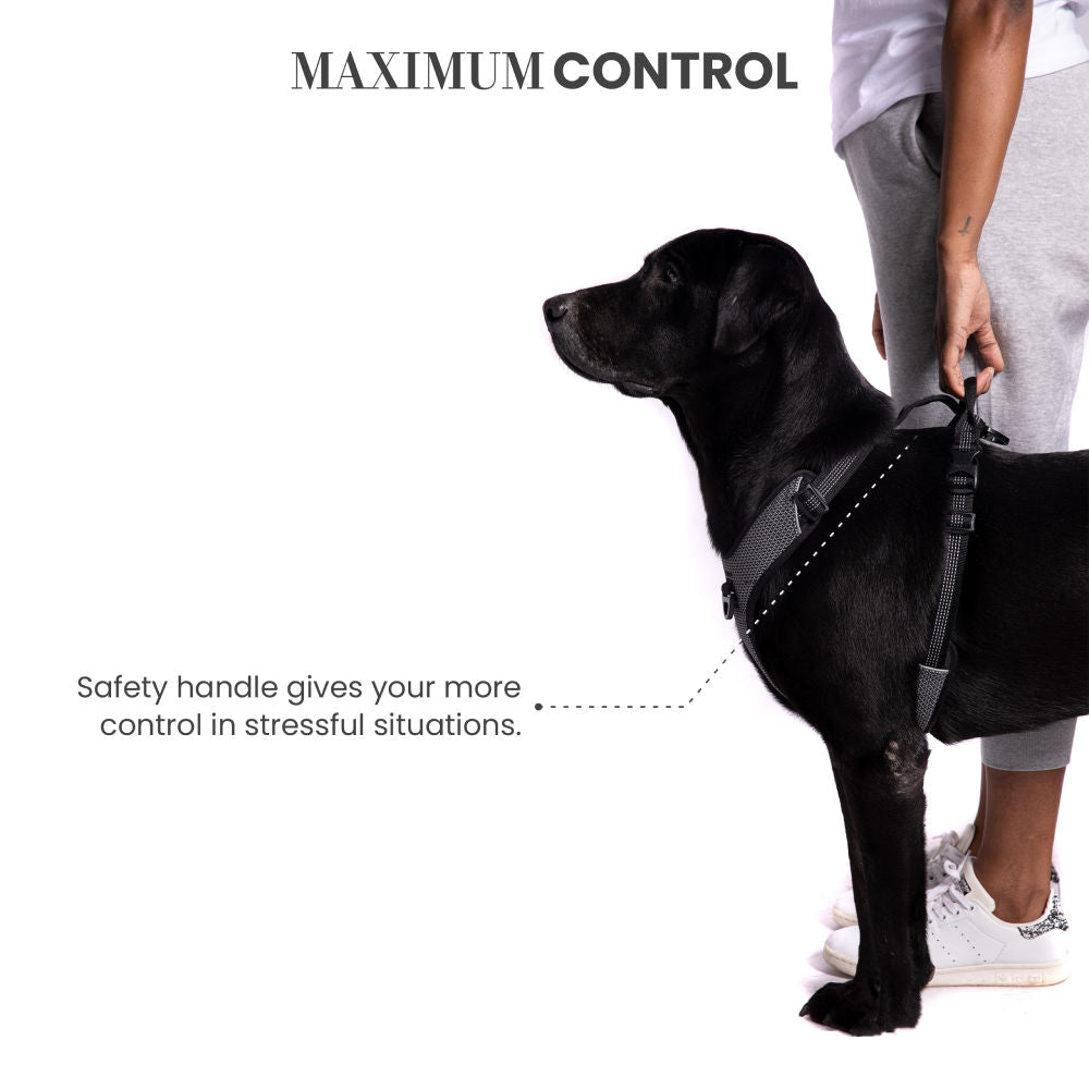 Truelove Harness with Reflective Fabric for Dogs — back view