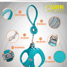 Truelove Mesh Harness Leash Set For Cats And Small To Medium Dogs Blue - Image 2