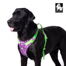 Truelove No Pull Special Edition Harness For Dogs Camouflage Purple