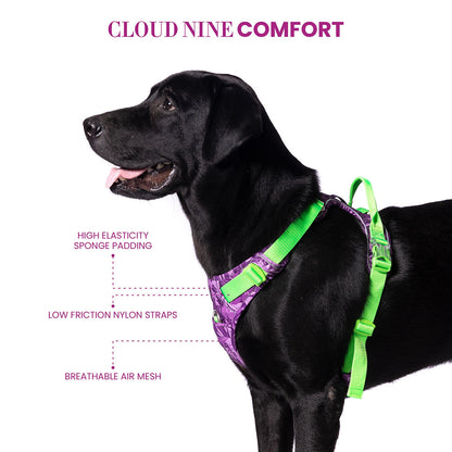 Truelove No Pull Special Edition Harness for Dogs — in use