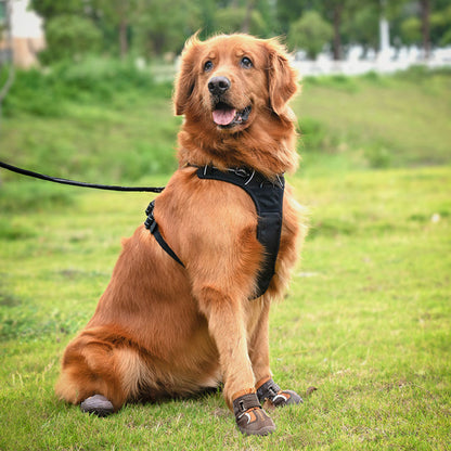 Truelove Reflective Waterproof and TPR Sole Shoes for Dogs — detail shot