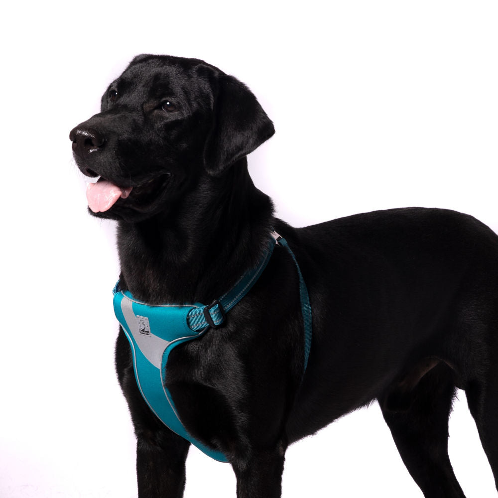 Truelove Step in Harness for Dogs — side view