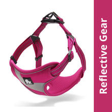 Truelove Step In Harness For Dogs Fuschia 3M - Image 5
