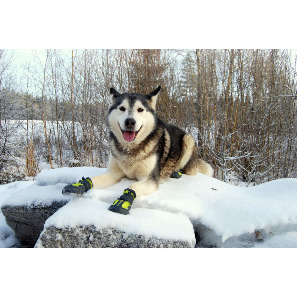 Truelove Waterproof Pet Boots for Dogs — side view