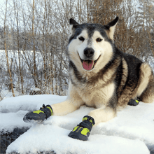 Truelove Pet Boots For Dogs Red Set Of 4 Copy - Image 2