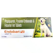 Ttk Endoban Pet Dewormer Tablets For Dogs