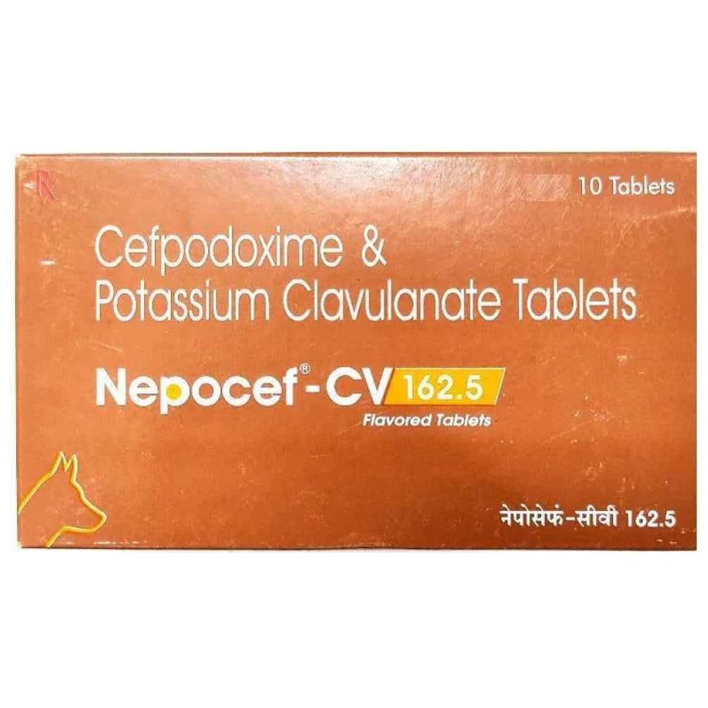 Ttk Nepocef Cv 162 5Mg Tablet For Dogs And Cats
