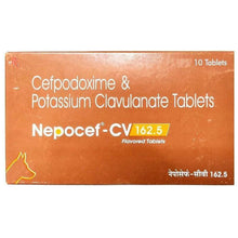 Ttk Nepocef Cv 162 5Mg Tablet For Dogs And Cats