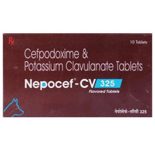 Ttk Nepocef Cv 325Mg Tablet For Dogs And Cats
