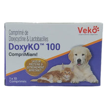 Veko Doxyko 100Mg Tablets For Dogs And Cats