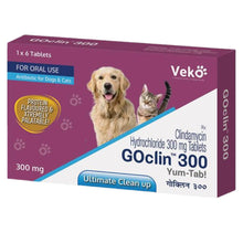 Veko Goclin 300Mg Tablet For Dogs And Cats - Image 2