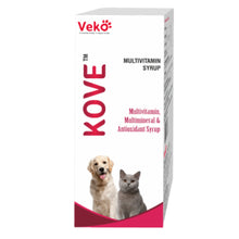 Veko Kove Multivitamin Syrup For Dogs And Cats
