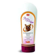 Venkys Sheen N Kleen Forte Shampoo For Dogs And Cats